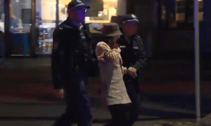 23岁华裔女子杨兰兰已获保释，巨额财富来源成谜