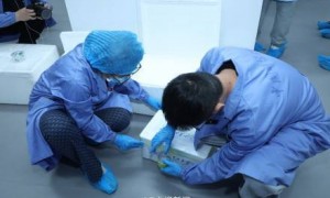 航天员带回近100斤太空特产